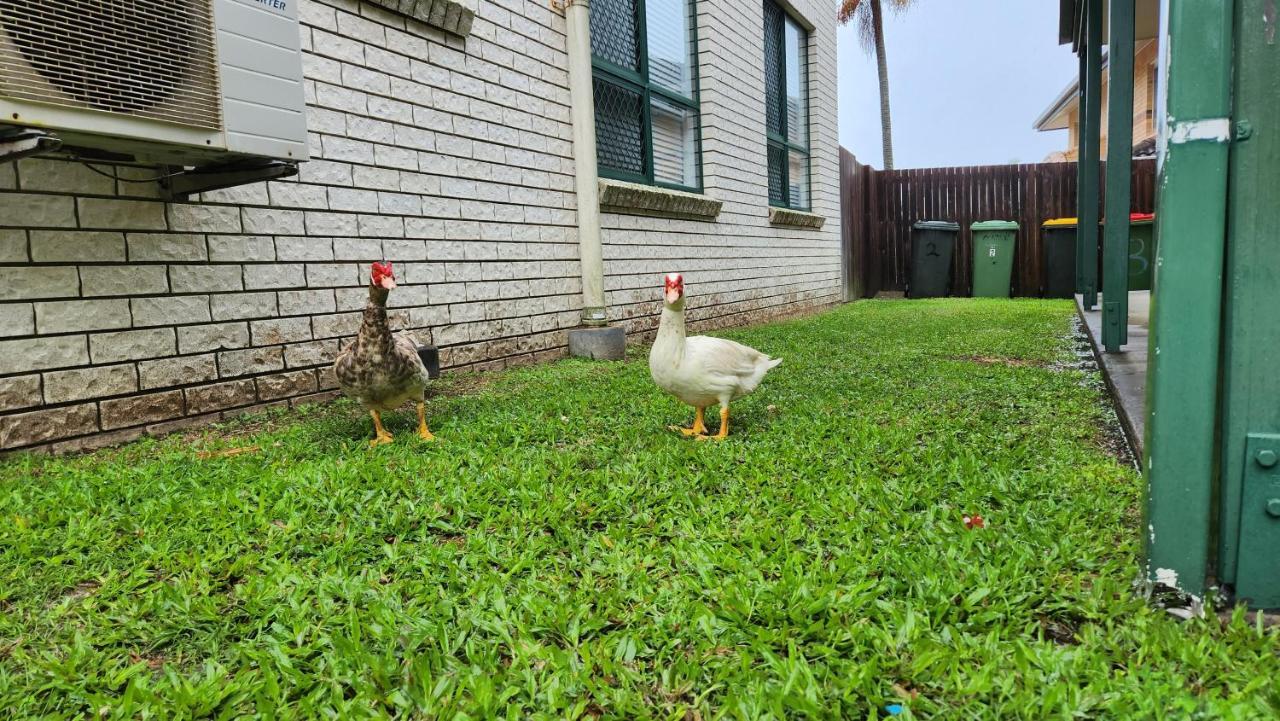 Whitsunstays - The Goose Ponds Mackay Εξωτερικό φωτογραφία